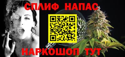 spice Аша