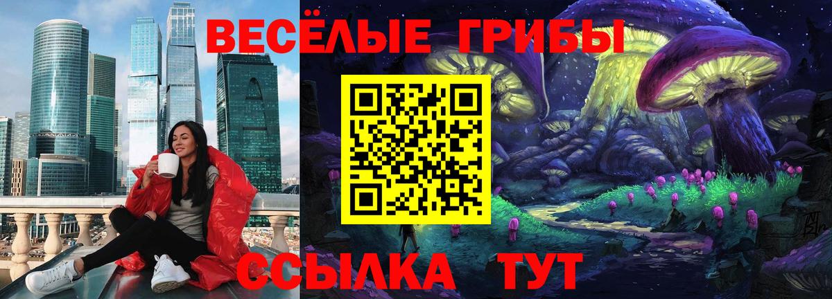 Псилоцибиновые грибы MAGIC MUSHROOMS  Вход с VPN  Псилоцибиновые грибы GOLDEN TEACHER  Архангельск 